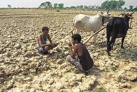 Indian Subsistence Farmers
